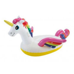 Licorne Intex