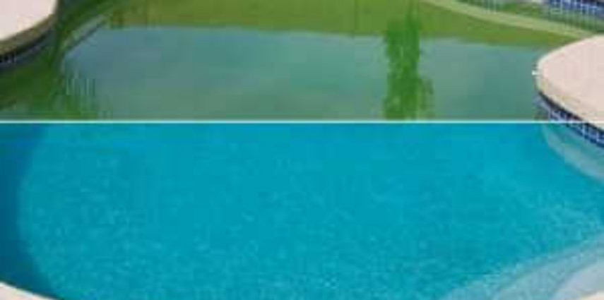 Comment lutter contre l’algue dans la piscine