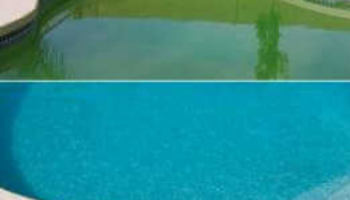 How to avoid algae formation in the pool?